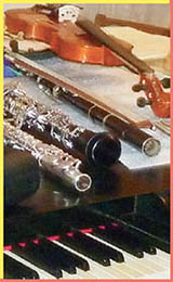 Instrument Sampler icon